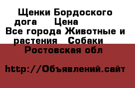 Щенки Бордоского дога.  › Цена ­ 30 000 - Все города Животные и растения » Собаки   . Ростовская обл.